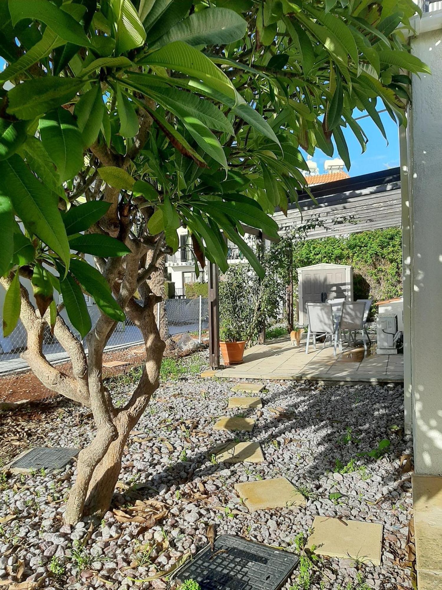 H&O Royal Townhouse In Center Paphos Apartment Екстериор снимка